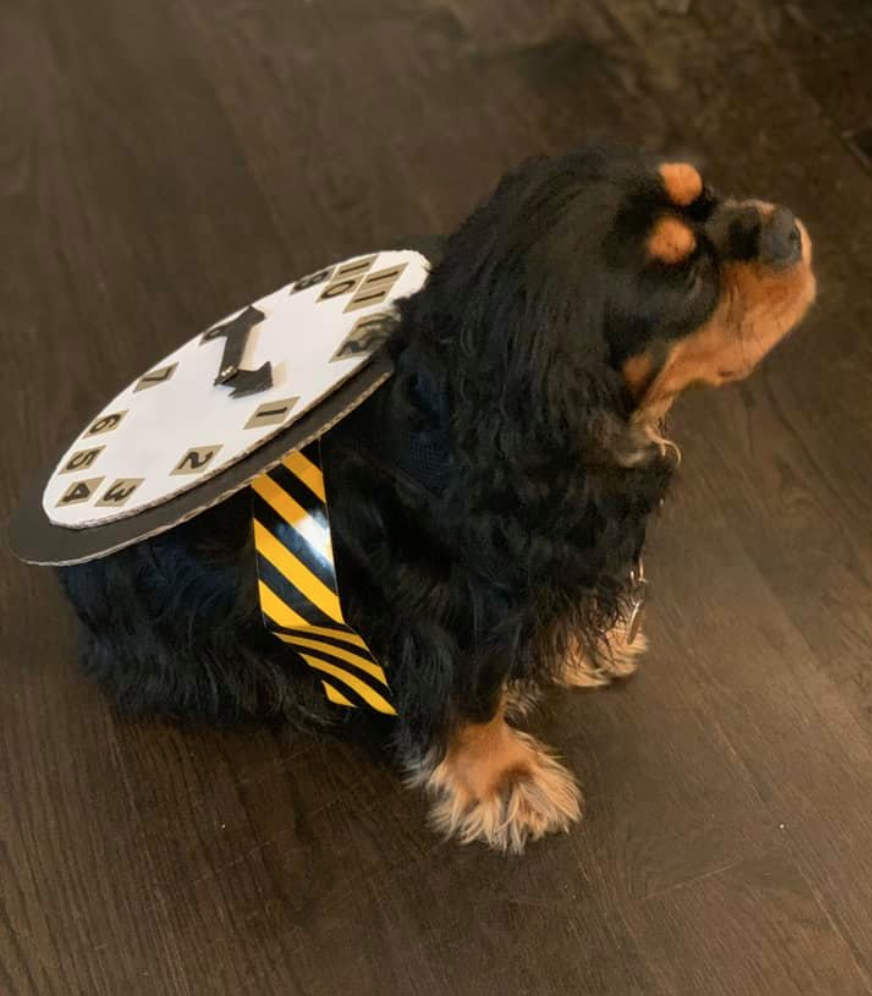 Screen Shot 2019-11-07 at 3.58.54 PM.png