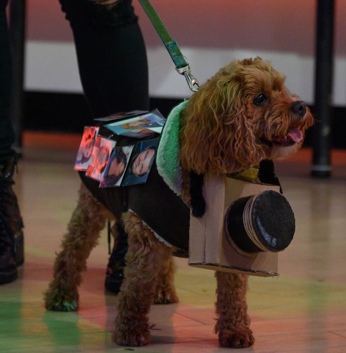 Screen Shot 2019-11-07 at 3.59.36 PM.png