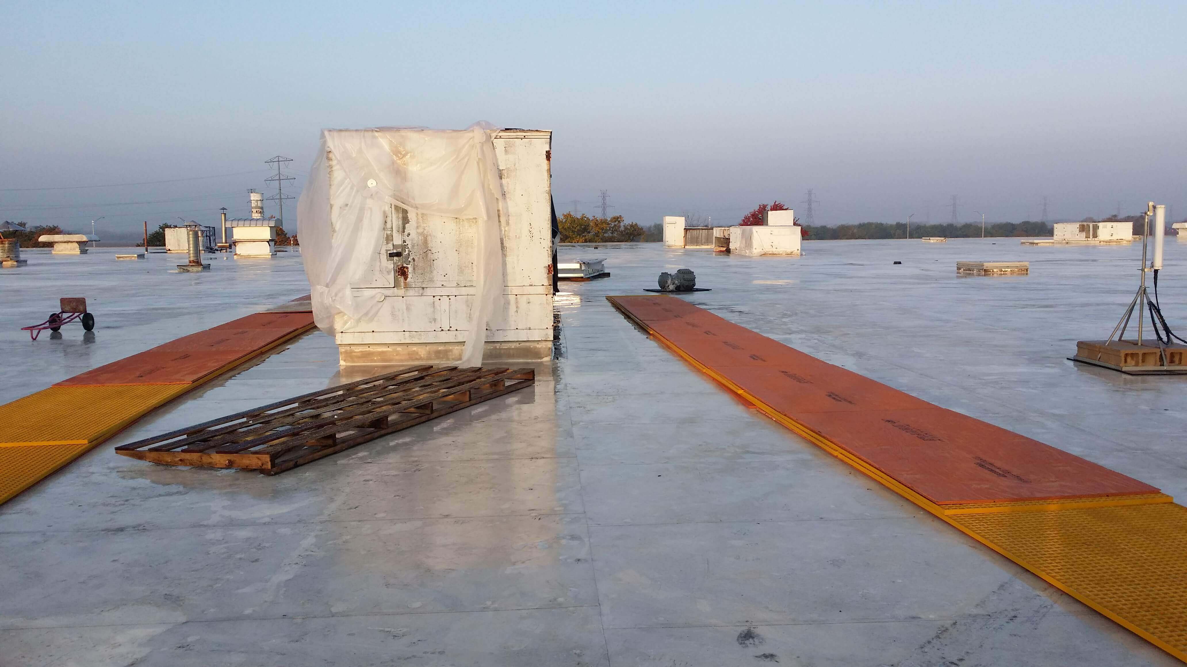 View from the top of the building.